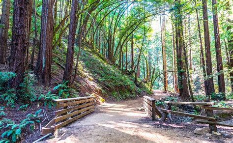 Adventure is Just Around the Corner: Exploring Nearby Hiking Trails